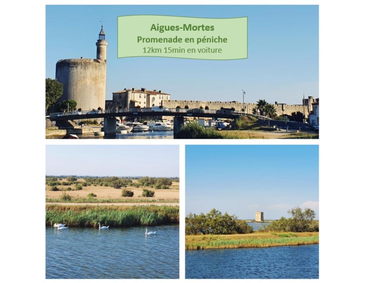 T2 Traversant Familial Cap Sud Parking Plages - Rossiconciergerie - Linge En Option Ла-Гранд-Мот Экстерьер фото